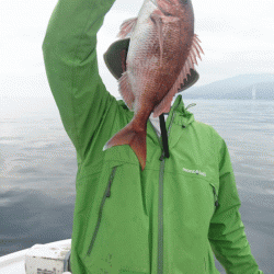 遊漁船ブルーウッズ 釣果