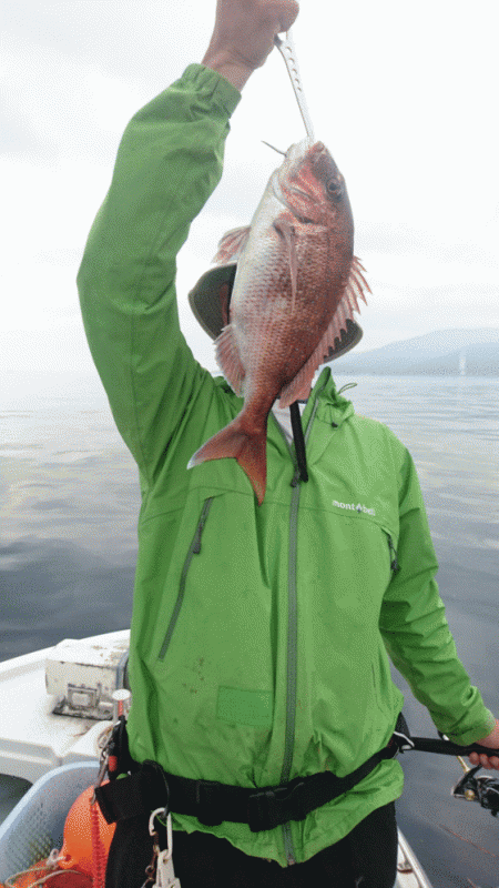 遊漁船ブルーウッズ 釣果