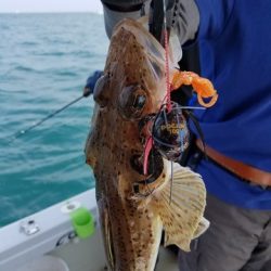 遊漁船 ニライカナイ 釣果