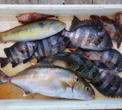 石川丸 釣果