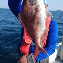 遊漁船ブルーウッズ 釣果