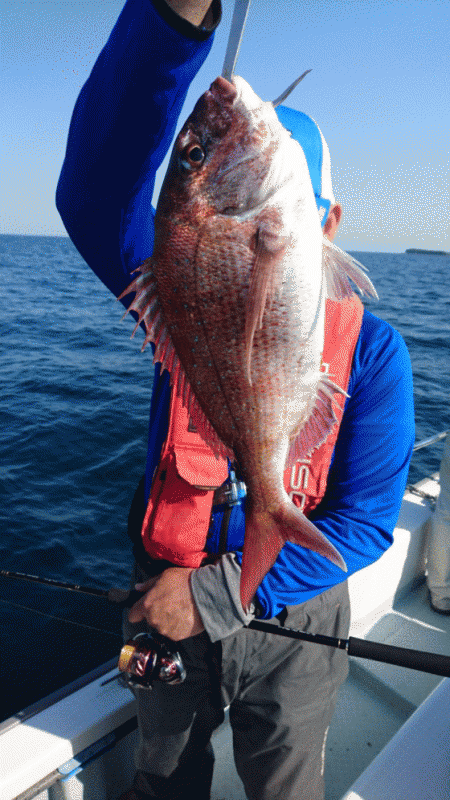 遊漁船ブルーウッズ 釣果