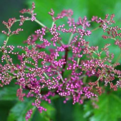 小菅トラウトガーデン 釣果