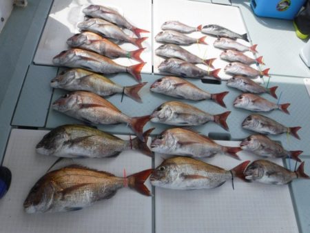 遊漁船 幸友丸 釣果