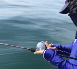 白墨丸 釣果