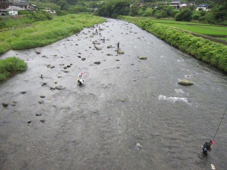 狩野川(狩野川漁業協同組合) 釣果
