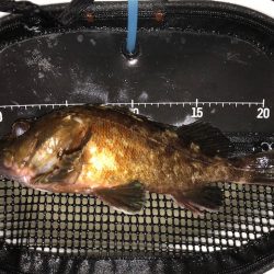 神戸ガシリング4