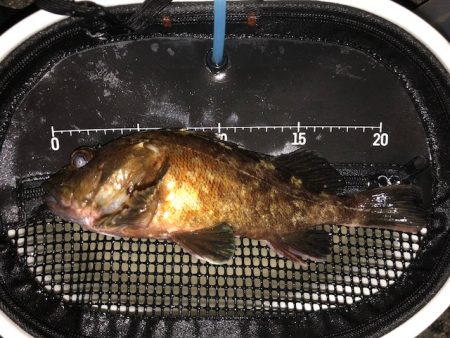 神戸ガシリング4