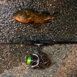 神戸ガシリング4