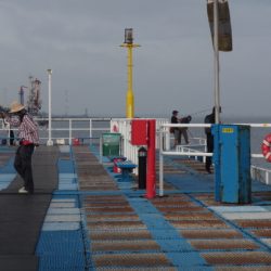 オリジナルメーカー海づり公園(市原市海づり施設) 釣果