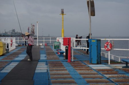 オリジナルメーカー海づり公園(市原市海づり施設) 釣果