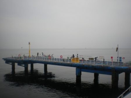 オリジナルメーカー海づり公園(市原市海づり施設) 釣果