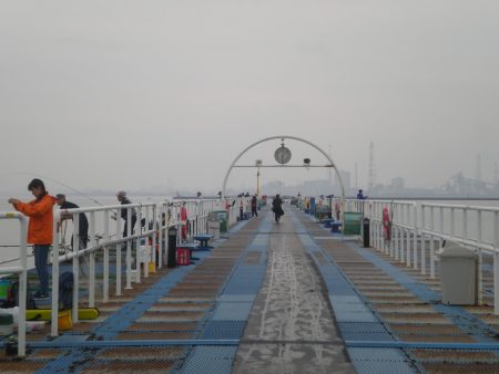 オリジナルメーカー海づり公園(市原市海づり施設) 釣果