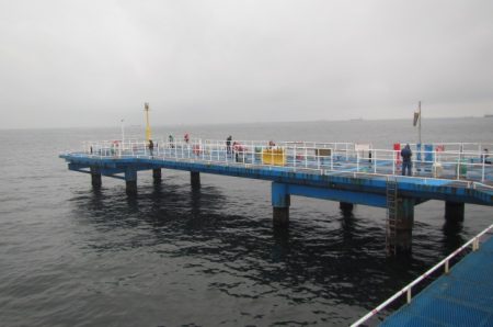 オリジナルメーカー海づり公園(市原市海づり施設) 釣果