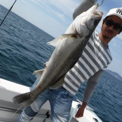 BlueNote Fishing Taxi 釣果