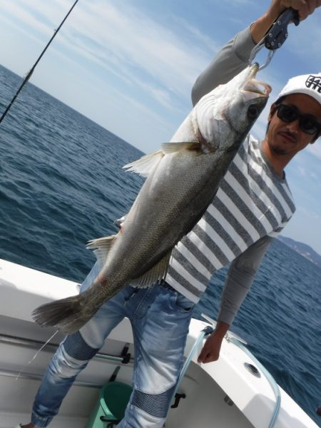 BlueNote Fishing Taxi 釣果