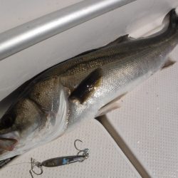 BlueNote Fishing Taxi 釣果