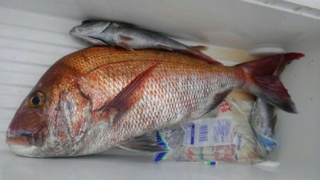 遊漁船 新鋭丸 釣果