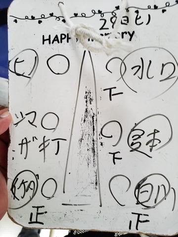 遊漁船　ニライカナイ 釣果