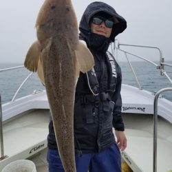 遊漁船 ニライカナイ 釣果