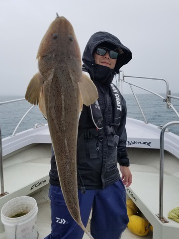 遊漁船 ニライカナイ 釣果