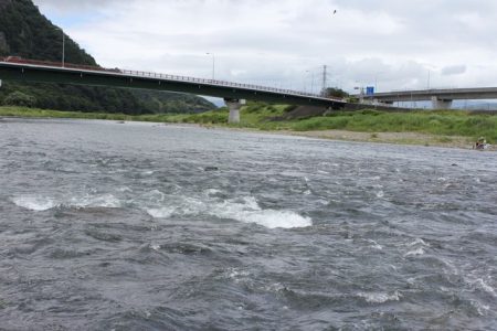 狩野川(狩野川漁業協同組合) 釣果
