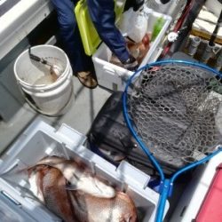 IDATEN(イダテン) 釣果