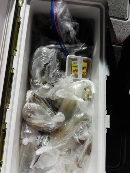 第二大福丸 釣果