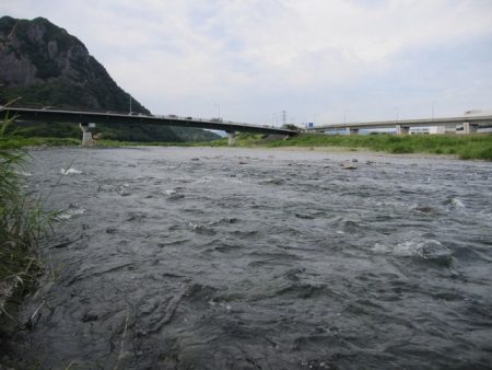 狩野川(狩野川漁業協同組合) 釣果