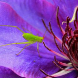 小菅トラウトガーデン 釣果