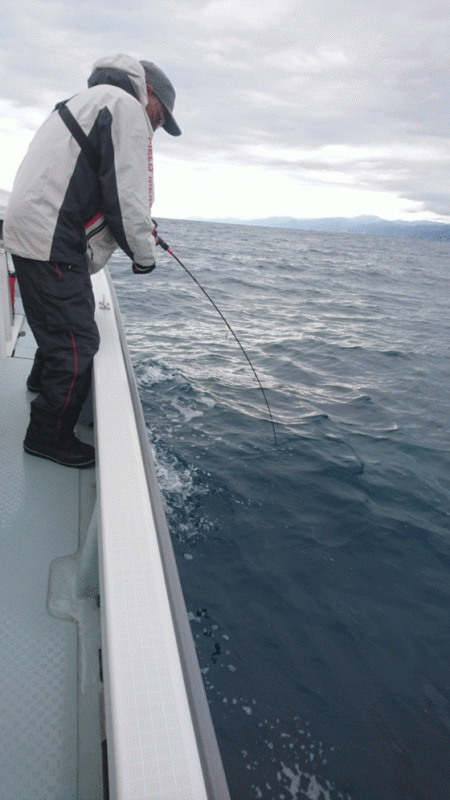 遊漁船ブルーウッズ 釣果