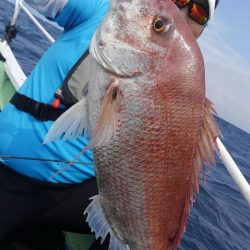 遊漁船 新鋭丸 釣果