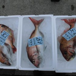 大進丸(新潟) 釣果