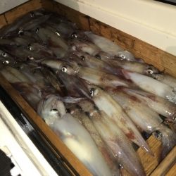 寿裕 （YOSHIHIRO） 釣果