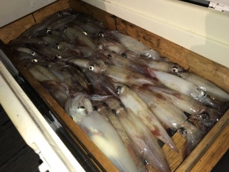 寿裕 （YOSHIHIRO） 釣果