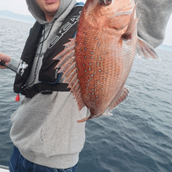 遊漁船ブルーウッズ 釣果