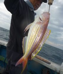 松福丸 釣果