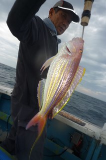 松福丸 釣果