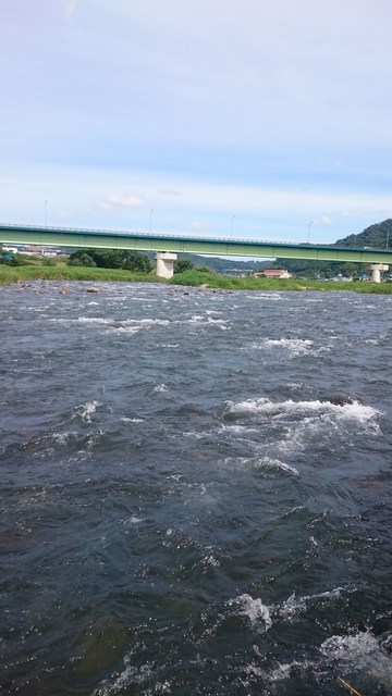 狩野川(狩野川漁業協同組合) 釣果