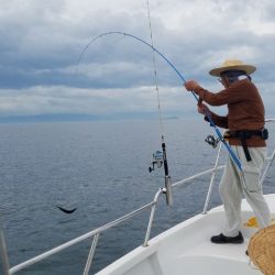 Magic(マジック) 釣果