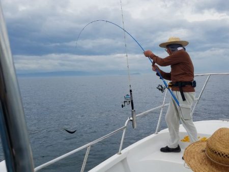 Magic(マジック) 釣果