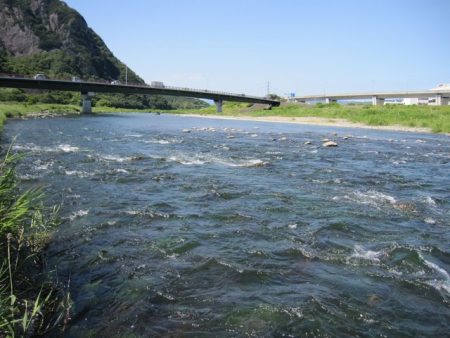 狩野川(狩野川漁業協同組合) 釣果