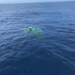 へいみつ丸 釣果