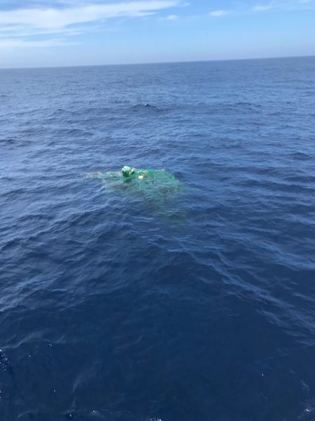 へいみつ丸 釣果