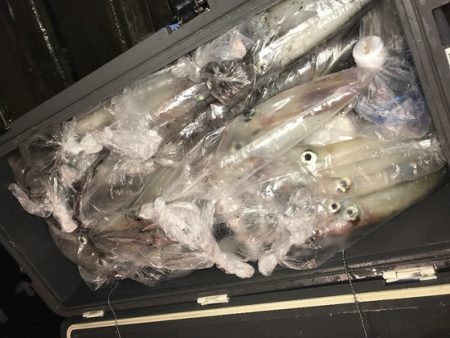 寿裕 （YOSHIHIRO） 釣果