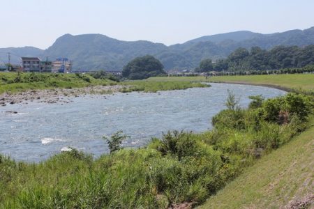 狩野川(狩野川漁業協同組合) 釣果