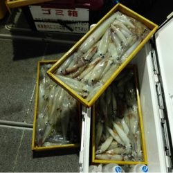 第二大福丸 釣果