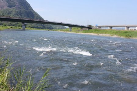 狩野川(狩野川漁業協同組合) 釣果