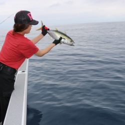へいみつ丸 釣果