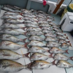 遊漁船 幸友丸 釣果